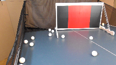 Returnboard TOPSPIN TRAINER mit Ballfang-Netz